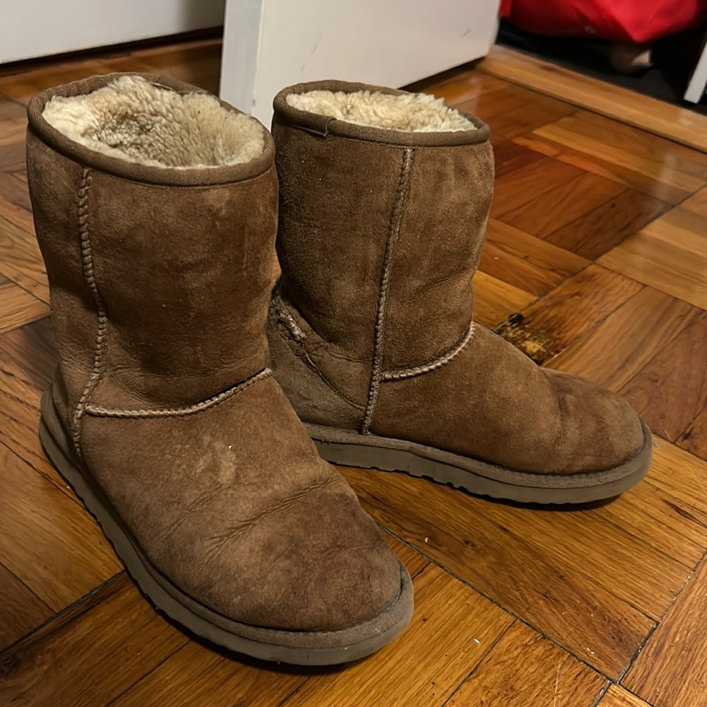 Chestnut Ugg Boots